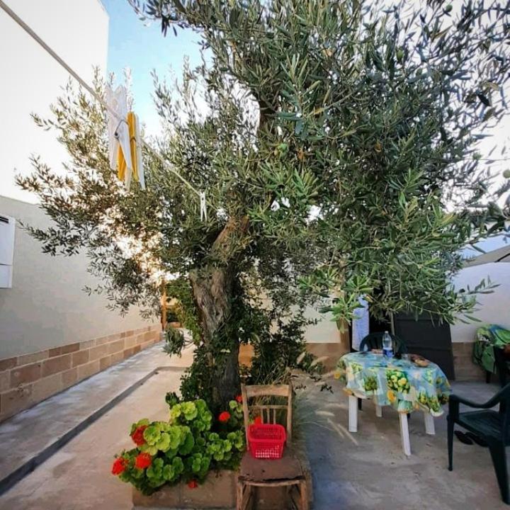 Villa Casa Le Gebbie à Marzamemi Extérieur photo
