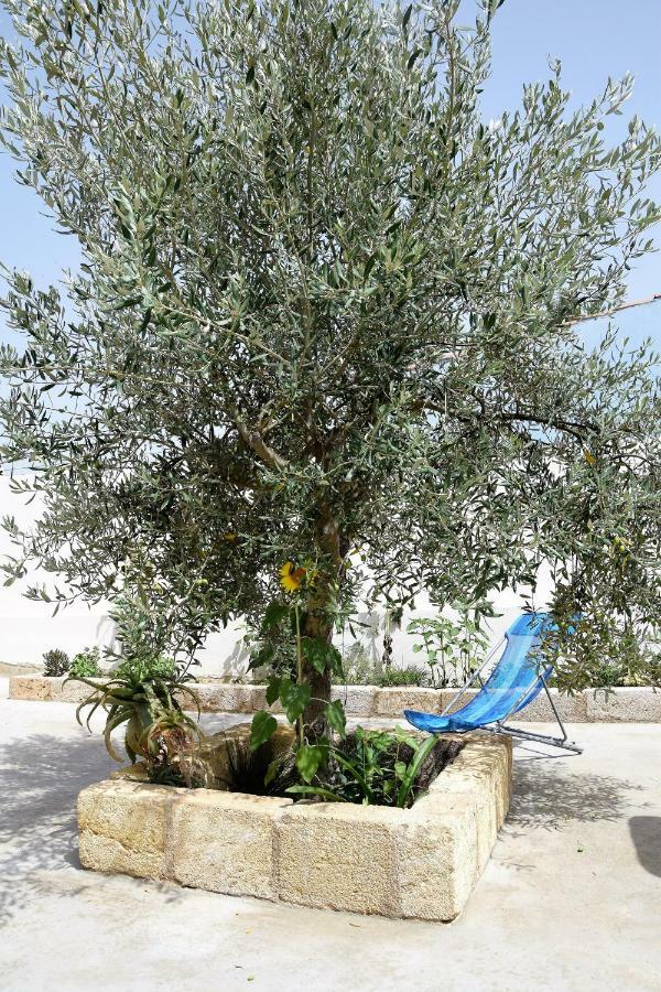 Villa Casa Le Gebbie à Marzamemi Extérieur photo