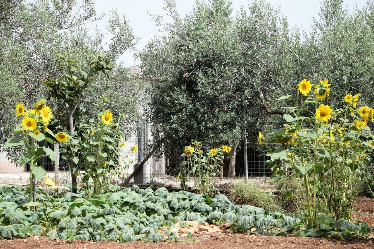 Villa Casa Le Gebbie à Marzamemi Extérieur photo